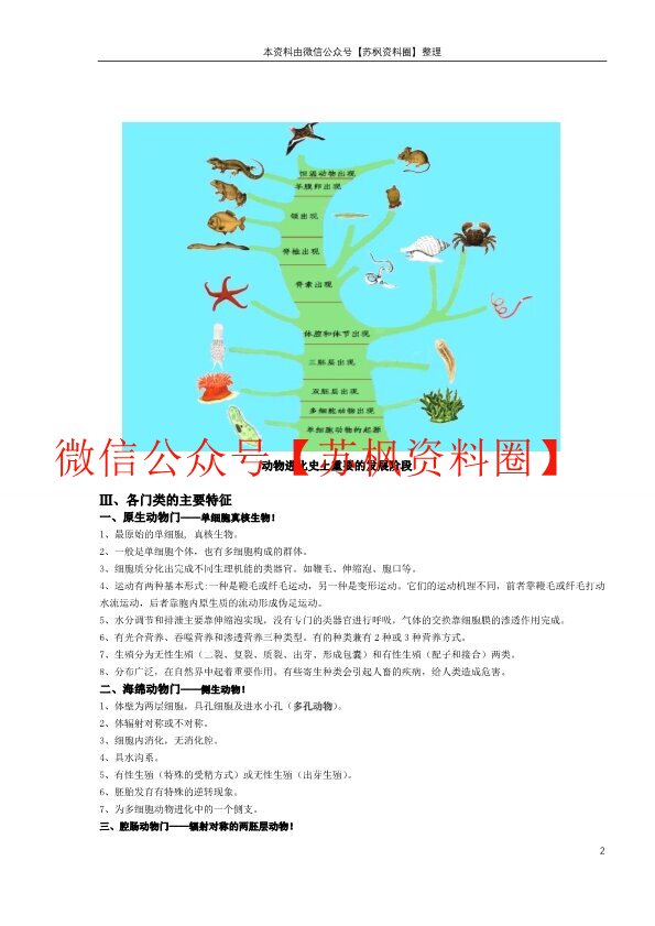 普通动物学